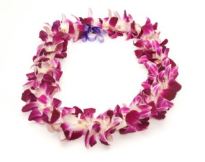 stock-photo-5017972-hawaiian-lei