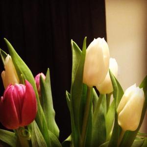 10277723_605031386470_4846474954791576592_n