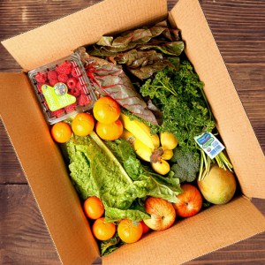 DTDO Mixed Box Square