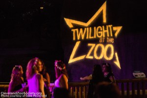 twilight_party
